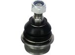 Denckermann Giunto Sferico Inferiore Anteriore Adatto Per MERCEDES-BENZ Notchback (W123) D110083