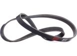 Ridex 305P0392 - Cinghia Oe 46818260 Con Nervatura A V Per 500 (312), 500L (351, 352), Panda, Punto, Jazz Ii