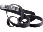 Ridex 305P0385 - Oe 11720 00Q1G Keilrippenriemen FüR Primastar (X83), Movano (X70), Vivaro (J7), Vivaro (F7), Vivaro A (E7), Trafic Ii (Jl), Trafic Ii (Fl), Trafic Ii (El)