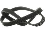 Ridex 305P0153 - Cinghia Oe 038 903 137 S Con Nervatura A V Per Alhambra 7V, Caddy Iii 2C, 2K, T5, Sharan 7M