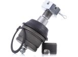 Ridex 2462S0252 - Oe 8983500202 Giunto Sferico Superiore Anteriore Per Cherokee (Xj), Grand Cherokee I (Zg, Zj), Grand Cherokee Ii (Wg, Wj), Wrangler I (Sj, Yj), Wrangler Ii (Tj)