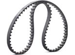 Ridex 306T0020 - Cinghia Di Distribuzione Oe 16806 00QAM Per Twingo Ii (CN0), Twingo I (S06), Twingo I (C06), Kangoo (Fc), Kangoo (Kc), Clio Ii, Clio I