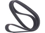 Ridex 305P0067 - Oe 1340261 Keilrippenriemen FüR Croma, Escort V, Escort Vi, Escort Vii, Focus (Daw, Dbw), Focus (Dnw), Focus (Dfw), Tourneo Custom, Transit Custom, Transit Tourneo, Transit V363, Sprinter (W906), Sprinter (W907, W910), Sprinter (W907), Signum (Z03), Vectra C (Z02)