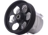 Ridex 12H0189 - Oe 491A05303R Servopumpe FüR Primastar (X83), Primera (P12), Movano (X70), Vivaro (J7), Vivaro (F7), Vivaro A (E7), Vivaro A (X83), Avantime (DE0), Espace Iii (Je), Espace Iv (Jk), Laguna Iii, Laguna I, Laguna Ii, Trafic Ii (Jl), Trafic Ii (Fl), Trafic Ii (El), Vel Satis (BJ0)