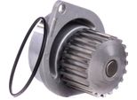 Ridex 1260W0168 - Pompa Acqua Oe Pa 7404 Per Saxo, Xsara, Zx (N2), 106 Ii, 206 (2A/C), 206 (2E/K), 206 Sw (2E/K), 306, 307, 405 Ii