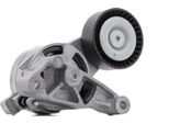 Ridex 540T0017 - Braccio Di Protezione, Guarnizioni Per A3 (8P), Altea (5P), Leon (1P1), Toledo Iii (5P2), Octavia Ii (1Z), Superb Ii (3T), Caddy Iii (2C, 2K), Golf Plus (5M), Golf V (1K), Jetta Iii (1K2), Passat (3C), Touran (1T)
