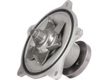 Ridex 1260W0166 - Pompa Acqua Oe 4448878 Per Voyager Iii (Gs)