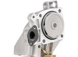 Ridex 1260W0124 - Pompa Acqua Oe PA5903 Per Ducato