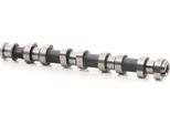 Ridex 566C0018 - Oe 24428752 Nockenwelle FüR Tigra Twintop (X04), Meriva B (S10), Meriva (X03), Corsa D (S07), Corsa C (X01), Combo Tour, Combo, Astra J, Astra H, Astra (A04), Astra G, Agila A, Adam
