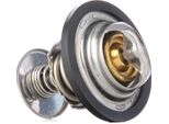 Ridex 316T0240 - Oe 1338 21 Termostato Acqua Di Raffreddamento Per Saxo, Xsara, Zx (N2), 106 Ii