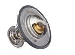 Ridex 316T0021 - Termostato Liquido Di Raffreddamento Oe 60805288 Per 164, Escort V, Escort Vi, Maverick, Almera I (N15), Almera Tino (V10), Patrol Gr V, Pick-Up (D22), Primera (P10), Primera (P11), Primera (P12), Primera (W10), Terrano Ii (R20), X-Trail (T30), X-Trail (T31), Koleos I (Hy)
