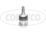 Corteco Giunto Di Supporto Inferiore Anteriore Destro Anteriore Sinistro Adatto Per MERCEDES-BENZ Classe M (W164) 49398857