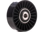 Ridex 312D0023 - Oe 46454419 Umlenkrolle, Keilrippenriemen FüR 145 (930), 146 (930), 147 (937), 156 (932), Gt (937), Brava, Bravo, Bravo, Doblo, Idea, Marea, Multipla, Palio, Punto, Stilo
