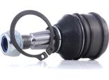 Ridex 2462S0304 - Giunto Sferico Anteriore Oe 3520 Q2 Per C1 (Pm, Pn), C1 Ii (Pa, Ps), 108, Aygo (B1), Aygo (B4), Iq (J1), Mr 2 Iii (ZZW3), Urban Cruiser (P1), Verso S (P12), Yaris (P13), Yaris (P1), Yaris (P9), Yaris Verso (P2)