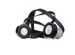 Ridex 542R0327 - Set Di Cinghie A V Oe 1119938 Per Mondeo Iii