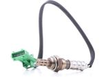 Ridex 3922L0422 - Sonda Lambda Oe 1618 R0 Per Berlingo, C2 (Jm), C2 Enterprise (Jg), C3 I (Fc, Fn), C3 Ii (Sc), C3 Pluriel (Hb), Nemo, 1007 (Km), 206 (2A/C), 206 (2E/K), 206 Sw (2E/K), 206+, 207 (Wa, Wc), 207 Sw (Wk), Bipper (Aa), Bipper Tepee, Partner (5, G)