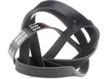 Ridex 305P0178 - Cinghia Oe 51768740 Con Nervatura A V Per 159 (939), Brera (939), Spider (939), Serie 5 (F10), Serie 5 Gt (F07), Serie 5 (F11), Serie 6 (F12), Serie 6 (F13), Serie 6 (F06), Serie 7 (F01), X5 (F15, F85), X6 (F16), Cherokee (Kj), Wrangler Ii (Tj), Classe E (W210), Classe E (S210), Classe S (W140)