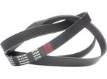 Ridex 305P0319 - Cinghia Oe 04796033 Con Nervatura A V Per Cherokee (Xj), Grand Cherokee I (Zg, Zj)