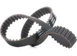 Ridex 306T0114 - Cinghia Dentata Oe 2335642500 Per Galloper I, Galloper Ii (JK-01), Terracan (Hp)