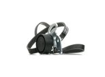 Ridex 542R0231 - Set Di Cinghie A V Oe 7701476473 Per Almera Ii (N16), Micra Iii (K12), Clio Ii, Clio Iii, Grand Scenic Ii (Jm), Kangoo (Kc), Kangoo (Fc), Logan I, Megane Ii, Modus (F/JP0), Scenic Ii, Thalia I (Lb), Thalia Ii (Lu)