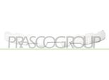 Prasco DS7111012 - Oe 62090BR01A Ammortizzatore, Paraurti Anteriore Per Qashqai +2 I (J10)