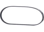 Ridex 305P0441 - Oe 038260849 Keilrippenriemen FüR 3Er (E36), Aveo (T250, T255), Zx (N2), Brava, Bravo, Doblo, Marea, Palio, Punto, Siena, Strada, Civic V, Crx Iii (Eg, Eh), Accent I (X-3), Getz (Tb), Terracan (Hp), Xj Coupé, Xjsc (X27), Range Rover Ii (P38A), Almera I (N15), Almera Tino (V10), Micra Iii (K12), Note (E11, NE11), Primera (P10), Primera (P11), Primera (W10), 405 Ii, Avensis (T22)