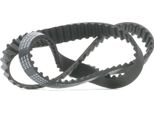 Ridex 306T0085 - Zahnriemen Oe 60809415 Per Accent I (X-3), Accent Ii (Lc), Accent Iii (Mc), Coupe (Rd), Coupe (Gk), Elantra (Xd), Getz (Tb), Matrix (Fc), Cerato (Ld), Rio Ii (Jb)