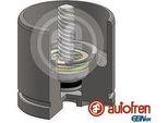 Autofren Seinsa Pistone Pinza Freno Per CitroËN C5 Ii (Rc) 54 Mm