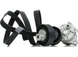 Ridex 542R0913 - Set Di Cinghie Con Nervatura A V Per Serie 3 (E36)