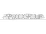 Prasco PG9131013 - Oe 9821847180 Staffa Paraurti, Anteriore Destra Per Berlingo, Rifter, Partner (K9)