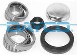 Set Cuscinetti Ruota Dayco Per Fiat Ducato Furgone/Telaio (230) KWD1253