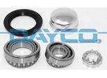 Set Cuscinetti Ruota Dayco Per Vw Golf Iv Hatchback (1J1) KWD1019