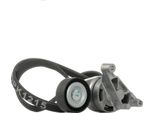 Ridex 542R1022 - Set Di Cinghie Con Nervatura A V Per Caddy Iii 2C, 2K