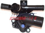 Fast FT58177 - Termostato Acqua Di Raffreddamento Oe 1106100Q1K Per Movano B (X62)