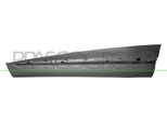 Prasco RN7501404 - Oe 808771493R Modanatura, Parte Anteriore Sinistra Per Kadjar (Ha, Hl)