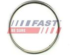 Fast FT84594 - Guarnizione Oe 1709 36, Tubo Di Scarico Per Jumper, Ducato, Boxer