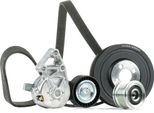 Ridex 542R0899 - Set Di Cinghie A V Per Galaxy (Wgr), Alhambra (7V), Cordoba (6L), Ibiza (6L), Leon (1M1), Toledo Ii (1M2), Bora (1J), Golf Iv (1J), T5, New Beetle, Sharan (7M)