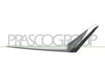 Prasco BM0341223 - Oe 51117471524 Striscia Di Rivestimento, Paraurti Anteriore Destro Per Serie 3 (G20), Serie 3 (G21)