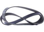 Ridex 305P0409 - Cinghia Oe 1473336 Con Nervatura A V Per C-Max, Focus Ii, C30 (533), S40 Ii (544), V50 (545)