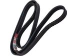 MASTER-SPORT 6PK1565-PCS-MS Cinghia A V, Cinghia Piatta Per CitroËN Berlingo / Berlingo First Furgone / Berlina Grande (M_)