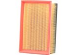 Ridex 8A1646 - Filtro Aria Oe PC2234E Per C4 I (Lc), C4 (La), 307, 307 Cc (3B), 307 Sw (3H), 206 (2A/C)