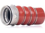 Ridex 3314C0371 - Tubo Aria Di Sovralimentazione Oe 11617796303 Per Serie 3 (E91), Serie 3 (E92), Serie 3 (E93), Serie 3 (E90)