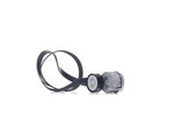 Ridex 542R0125 - Oe 16 112 783 80 Keilrippenriemensatz FüR C4 G-Picasso I (Ua), C4 Ii (Nc), C4 Picasso I (Ud), C5 Iii (Rd), C5 Iii (Rw), C8 (Ea, Eb), DS4, DS5, Jumpy (VF7), Scudo, C-Max, Focus Iii, Galaxy (WA6), Grand C-Max, Kuga I, Kuga Ii, Mondeo Iv, S-Max (WA6), 3008 (0U), 308 Cc (4B), 308 I, 308 Sw I, 407, 407 Sw (6D, 6E), 5008 I, 508 (8D), 508 (8E), 807 (Eb), Expert (Vf), Expert Tepee (VF3X),