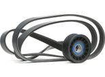 Ridex 542R0217 - Set Di Cinghie Oe 2 110 252 Con Nervatura A V Per C-Max, Focus Ii, C30 (533), S40 Ii (544), V50 (545)