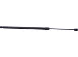 Ridex 219G0970 - Oe 98 068 792 80 HeckklappendäMpfer Per C4 G-Picasso Ii (Da, De), C4 (3A, 3E)