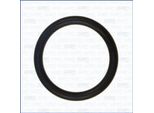 Ajusa 16016200 Guarnizione Collettore Di Aspirazione Per Ford Focus Iii Turnier Kuga Mk2 (DM2) Mondeo Iv Turnier (BA7) S-MAX (WA6) Focus Iii Galaxy (WA6)