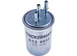 Filtro Carburante Denckermann A120955 Per Ford Transit Connect (P65, P70, P80) Filtro Linea