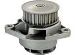 Denckermann Pompa Refrigerante Pompa Acqua Per Vw Lupo (6X1, 6E1) A310044P