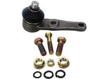 Denckermann D110185 Giunto Sferico Inferiore Anteriore
