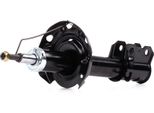Daco Germany Ammortizzatore Anteriore Sinistro Per Opel Corsa C Hatchback (X01) Ammortizzatore 453646